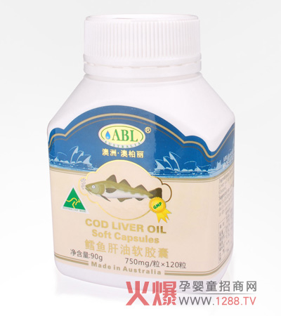 �İ����L�~�����z�� �I�B�S���ڸк�