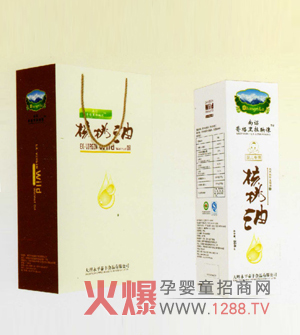 ���t�������ӳ������� �͜؉�ե��ȫ�I�B