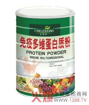 �`�������߶�S�����|�� �����w�|