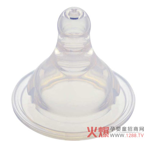 �������ڏ�ĸ�錍������ ׌�������������m