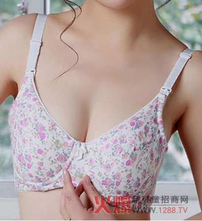 ���������ЋD�������̃��ݽ��x