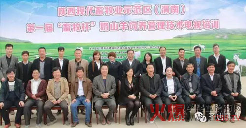 �׌á�����������ɽ����B�������g�ҕ��Ӗ����A�M��Ļ