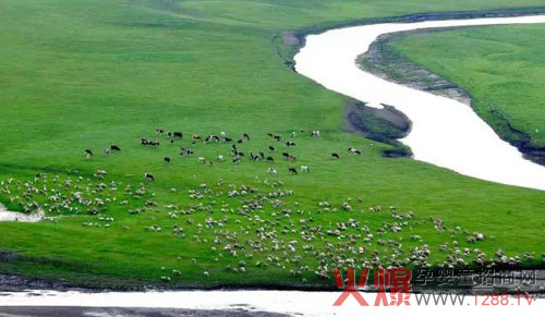 �u�@��I�o�ԏ��Ƶ���Դ����