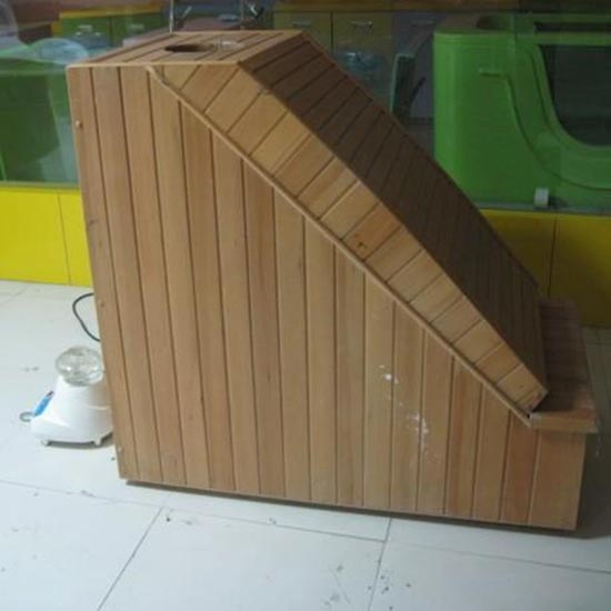 ����ӡ��a��Ѭ����