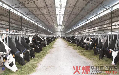 ��V�x������ţ����Ʒ���M�Ј���  �xɽ���¸�Ч����ģʽ�����̘I�³��B