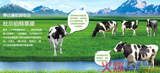 �{�˿��̷�20�갲ȫƷ�|(zh��) �d�u�ʫI(xi��n)