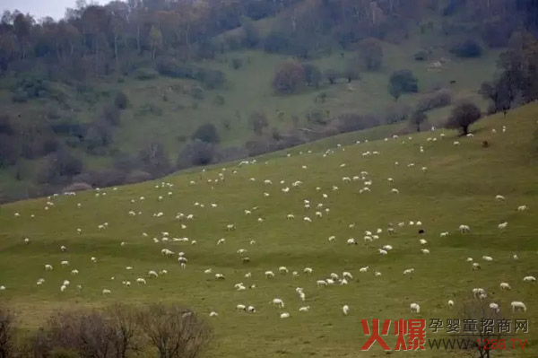 �Pɽ��I���B���� ���¹�����ʽ ������H�����B����