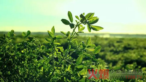 �xɽţ�̟���ӛ�������������� �����֎ײ���