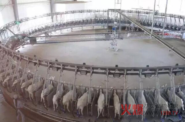 �Pɽ��I���B���� ���޴�Ҏģ�����a�I朻��A