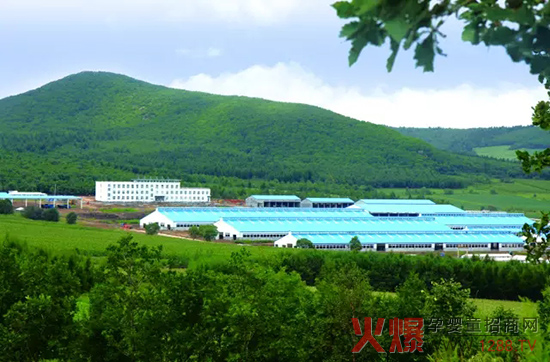 �lչ���w���������_ɽ���Єӣ�