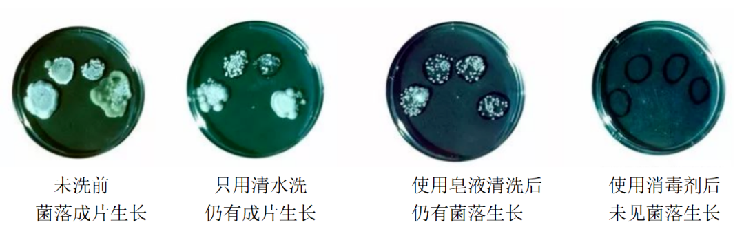 fc6097014eb6bd6d894bae1ce5916578.png fc6097014eb6bd6d894bae1ce5916578.png