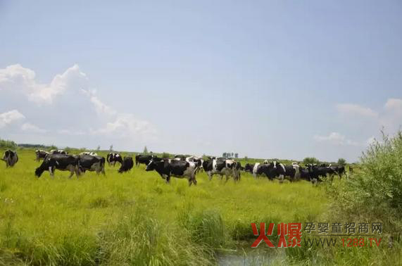 ���_ɽ�̷۞�Ε��ܵ��@ô���˵�ϲ�ۣ�