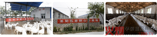 ���̷ۮa�I��Ȼ���� ������������A�I�Ј�