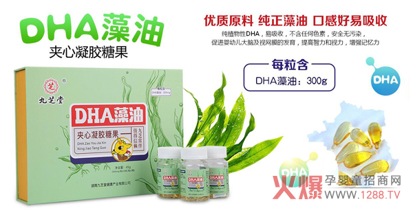 ��֥��DHA���͊A�����z�ǹ� ��ֲ���Դ���|�àI�B