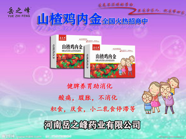 岳之峰 山楂雞內金