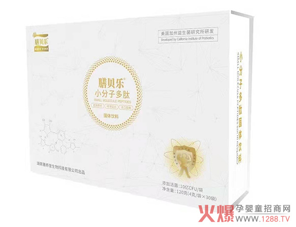 ��ؐ��С���Ӷ��Ĺ��w��� �àI�B���ཡ����