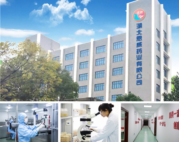 恩威藥業.jpg 恩威藥業.jpg