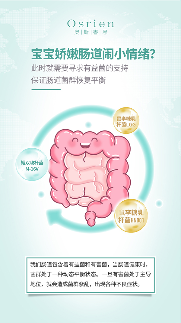奧斯睿恩復合型益生菌滴劑小綠瓶詳情_06.jpg