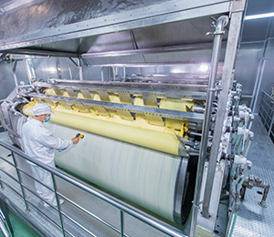  ��������S31