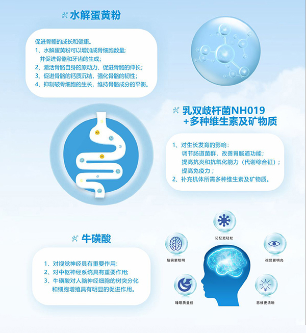 卓爾之星蓓優(yōu)蓓高兒童營(yíng)養(yǎng)配方奶粉 (3).jpg