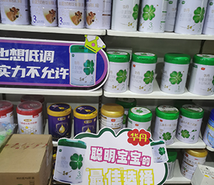 華丹奶粉終端展示 (9)