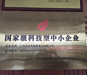 國家級科技型中小企業