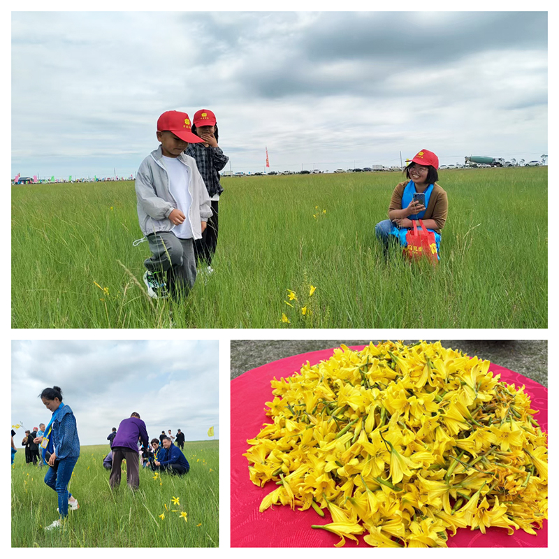 華丹乳業第七屆草原文化節5.jpg 華丹乳業第七屆草原文化節5.jpg