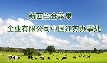 �����m���O����I(y��)���޹�˾���K�k��̎�������