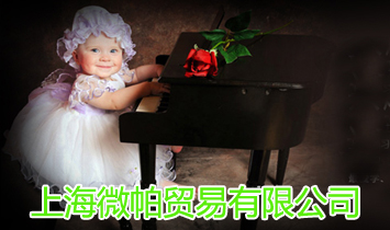 �Ϻ�΢���Q�����޹�˾