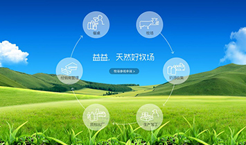 ����������I���޹�˾