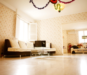 泰迪寶虹口店店面形象