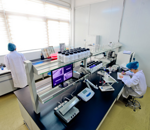 雀兒喜公司工廠照