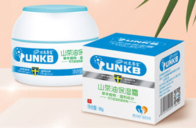 ����������˪