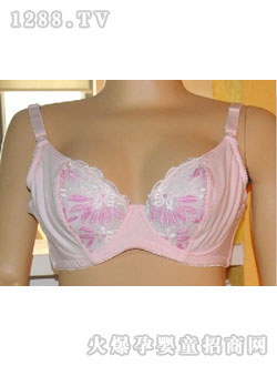 ӭ���������