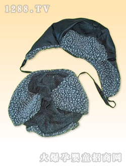 �����p��qñ��