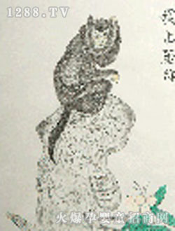 �Q��þú���̥ë��