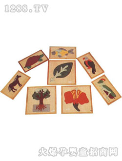 ���ݸ��ֲ��Ƕ��