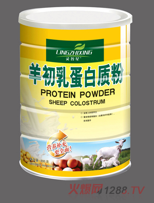 �`������鵰���|(zh��)��