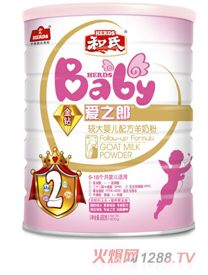 ��֮���̷�800g2