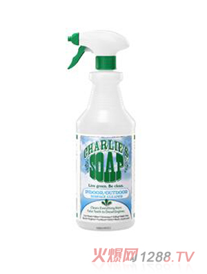 Charlies�����҃����坍��������;�坍����