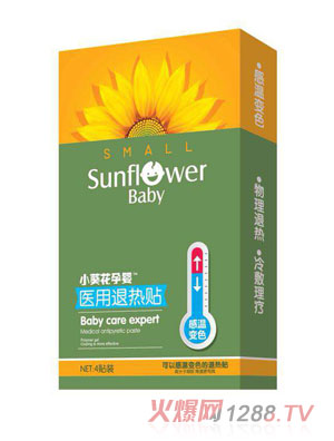 С�����Ћ��t���˟��N