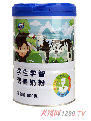 �f���W���W�ǠI�B�̷� 800g