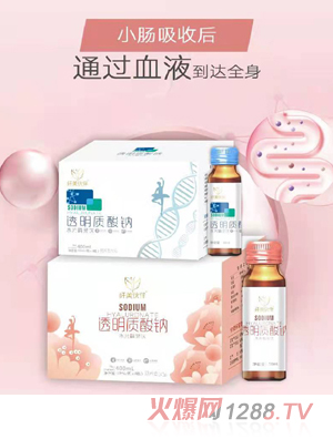 �w�����͸���|���c