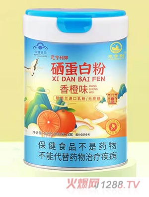 Ԫ�����������׷� ���ζ