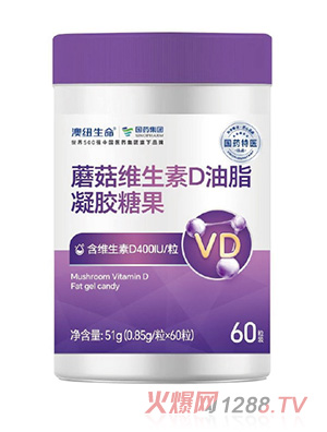 ��ˎ���t&��ˎ���FĢ���S����D���z�ǹ�